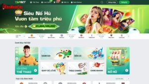 TOPBET hoạt động dưới sự quản lý nghiêm ngặt của cơ quan cấp phép quốc tế Curacao