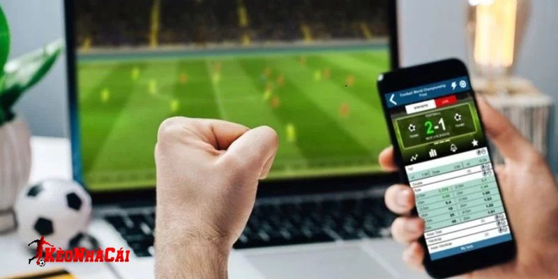 Các điều khoản nhằm tạo ra không gian giải trí thoải mái và an toàn nhất