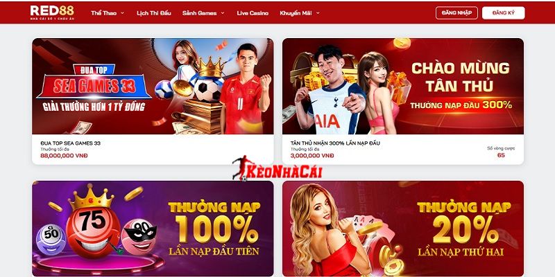 Giải trí cá cược đỉnh cao tại nhà cái uy tín