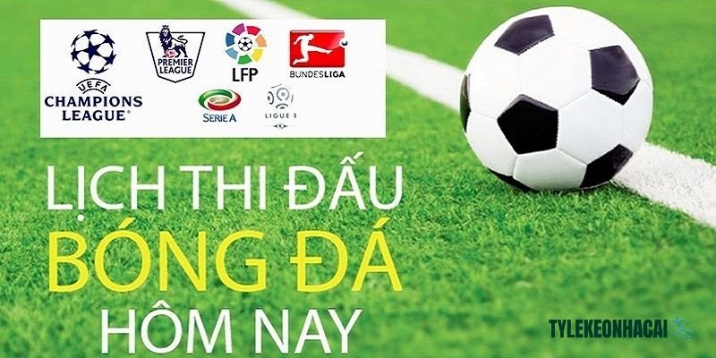 Lịch thi đấu bóng đá và thể thao được cập nhật liên tục