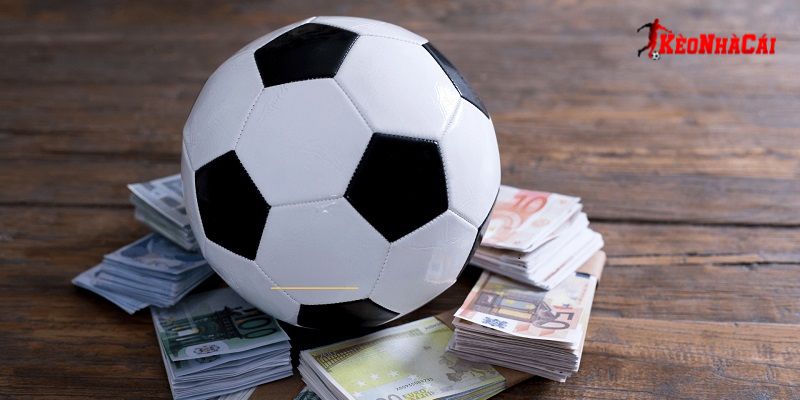 Người chơi cần nắm rõ các quy định để tham gia hiệu quả hơn Người chơi cần nắm rõ các quy định để tham gia hiệu quả hơn