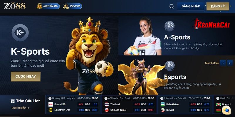 ZO88 - Tân binh đáng gờm trên thị trường hiện nay ZO88 - Tân binh đáng gờm trên thị trường hiện nay