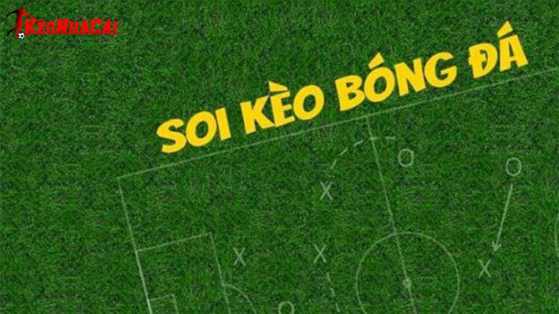 Soi kèo là gì? Cách soi kèo đơn giản trong bóng đá dành cho người mới