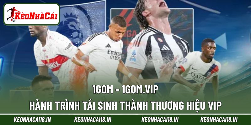 Giới thiệu về thương hiệu 1GOM