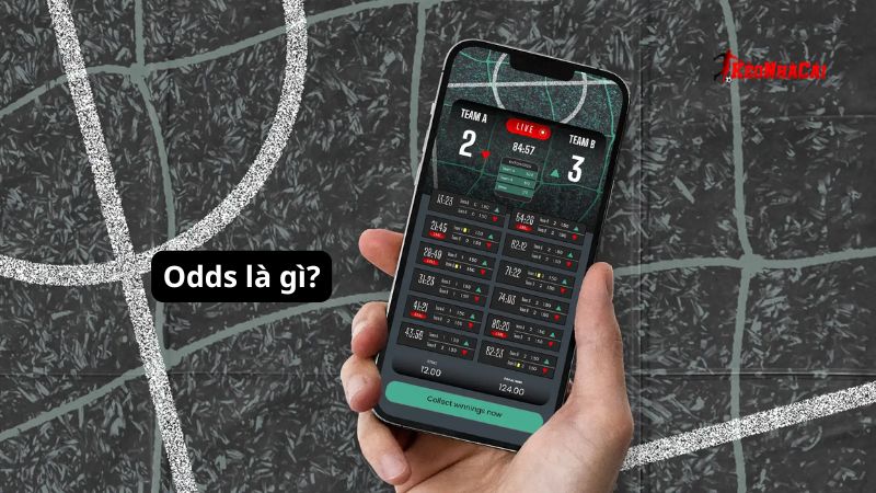 Bạn đã hiểu được thuật ngữ Odds là gì hay chưa? Bạn đã hiểu được thuật ngữ Odds là gì hay chưa?