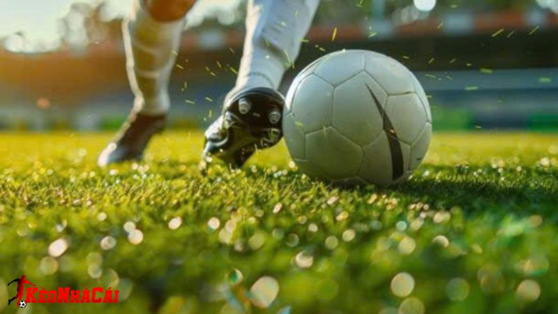 Cá độ bóng đá là hiện tượng phổ biến trong giới thể thao