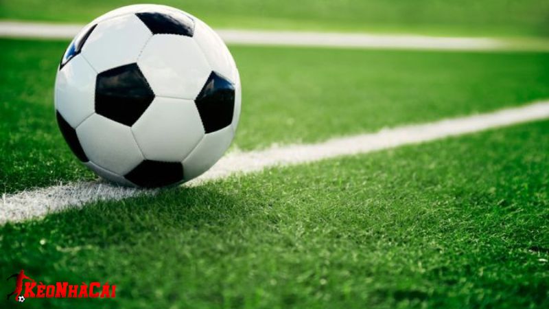 Các hoạt động cá độ bóng đá được nhiều tổ chức thực hiện vô cùng phổ biến