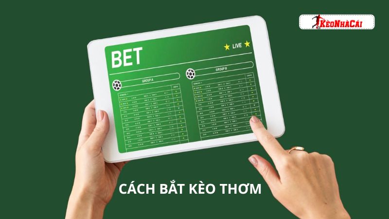 Cách bắt kèo thơm hiệu quả