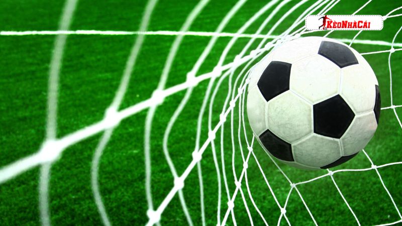 Kinh nghiệm đánh bóng cỏ