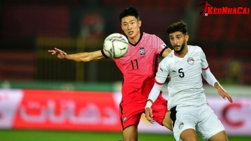 Phương pháp giúp người chơi gia tăng tiền cỏ tối đa khi cá cược