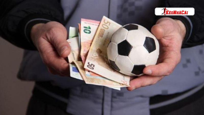 Quy trình tham gia cược bảo hiểm