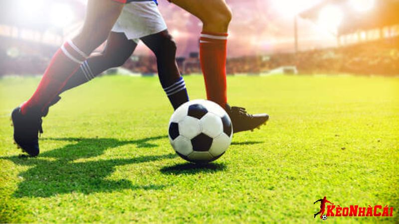 Soi kèo trong bóng đá là một trong những kỹ năng rất quan trọng cần phải nắm
