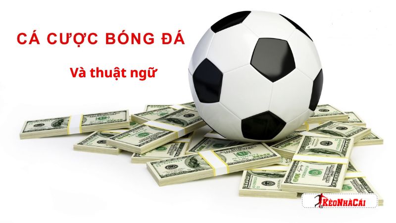 Tham gia cá độ cần nắm rõ thuật ngữ đi kèm Tham gia cá độ cần nắm rõ thuật ngữ đi kèm