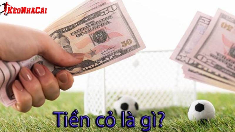 Tiền cỏ là gì? Tìm hiểu khái niệm cho tân binh